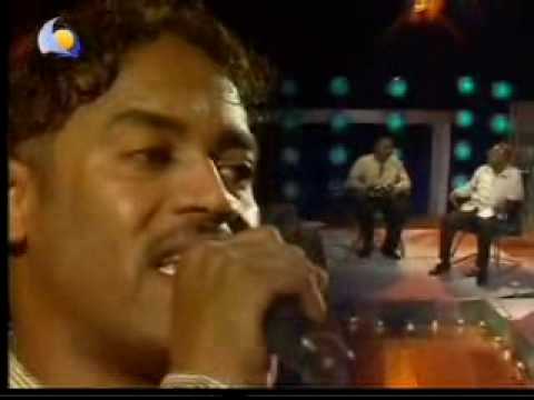 معتز صباحي ربيع الدنيا