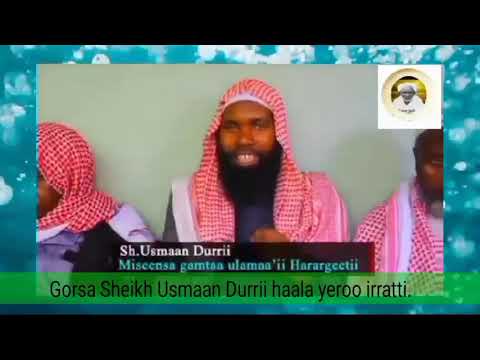 Gorsa Sheikh Usmaan Durrii Haala Yeroo Irratti Gamtaa Ulamaa Ii Harargee Wajji