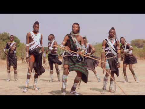 NDIZU KUMILIMO HALUSI YA SHIGELA NO 0787022864