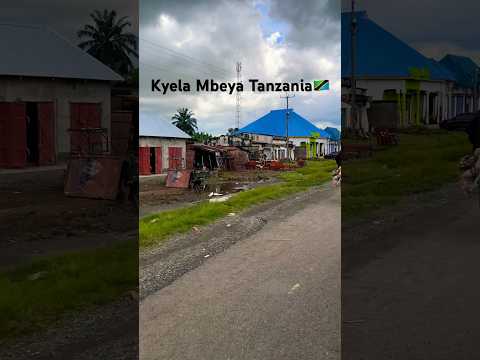 Kyela Mbeya Tanzania Africa Travel Viral Adventure Love Africantravel Life Lakenyasa Dad