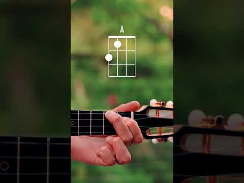 How To Play A Ukulele Chord Beginner Ukulele Chord Series 1