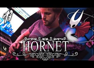  Hollow Knight Hornet Metal Cover By RichaadEB
