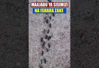 FAHAMU MAAJABU 5 YA SISIMIZI NA ISHARA ZAKE