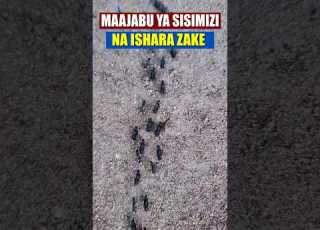  FAHAMU MAAJABU 5 YA SISIMIZI NA ISHARA ZAKE