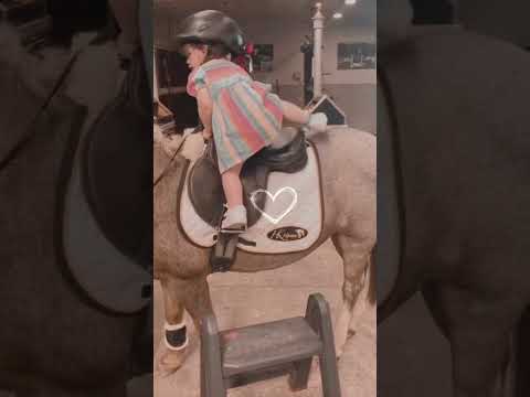 سولفلي على هونك