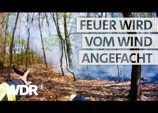  Flächenbrand Im Wald S05 E06 Feuer Flamme WDR