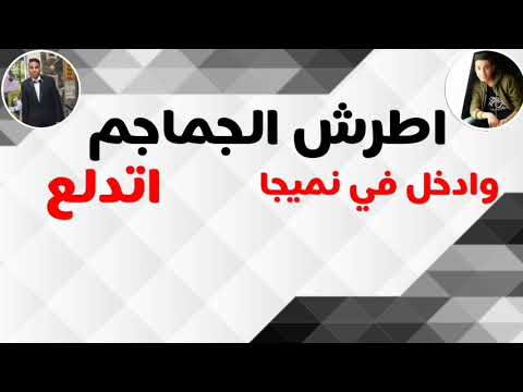 حالة واتس حمو بيكا اطرش الجماجم وادخل في نميجا اتدلع مهرجان اطرش الجماجم