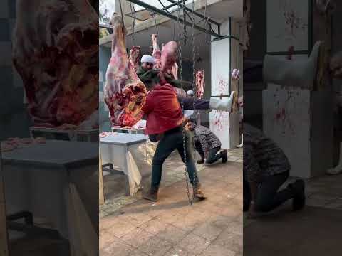 كواليس من مسلسل كوبرا وخناقة المجزر