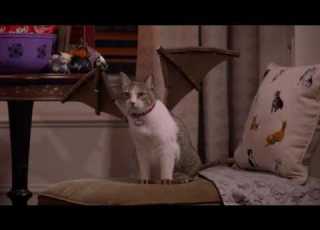  Kit Kat USA 2016 Halloween Commercial Kat Lady