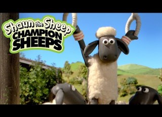 Rings Championsheeps Games Shaun The Sheep