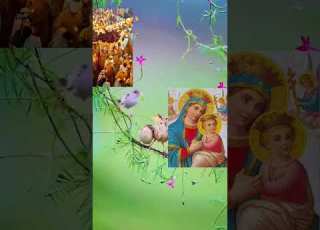  ልጅሽን ታቅፈሽ እመቤታችን ነይ ወደ ሁላችንም ህይወት