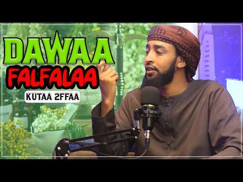 Ajiib Dawaa Falfalaa Kan Sirrii Ta E Mana Dawaa Fi Mana Falfalaa Kutaa 2ffaa Ustaaz Ibsaa Waliin