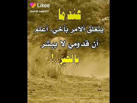 حالات واتساب قدومي لا يبشر بالخير حالات واتس عن الاخ 2023