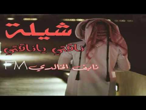 شيلة ناقتي يا ناقتي