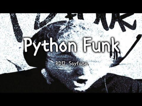 RD12 Sayfalse Python Funk Brazilian Phonk 8D Audio