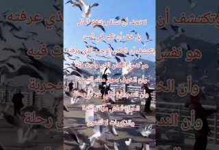 سافر Ai Funny Dothingsyoudontwanttodo Theothersideofmakebelieve Motivation Citation اكسبلور