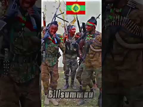 Gelana Geromsa Galana Garomsa Keol Negasa Jamaree Oromootiktok Maskimange Makioro Rachuu Mubarekmus