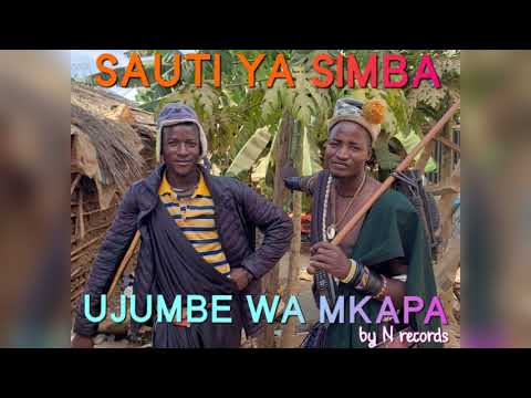 SAUTI YA SIMBA UJUMBE WA MKAPA 2024