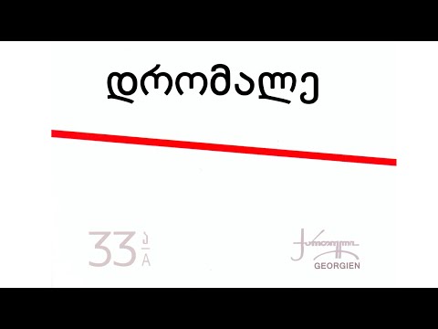 ნიაზ დიასამიძე 33ა დრომალე Niaz Diasamidze 33a Dromale