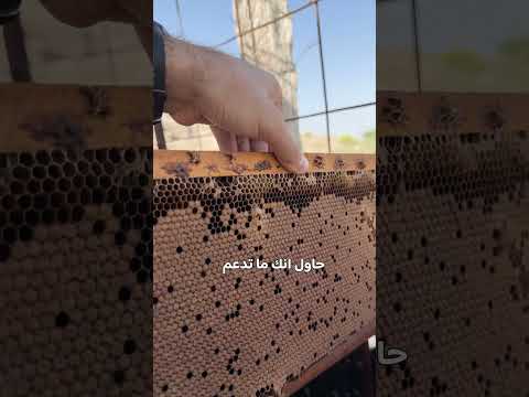 هذا هو السر لتقوية الخلية الضعيفة بسرعة