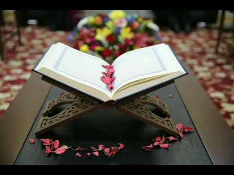 سورةالحاقه بصوت يريح قلبك القارئ أسامة حمدان