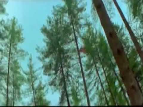 وائل جسار نصيبي أعيش عشانك عربي هندي جامد