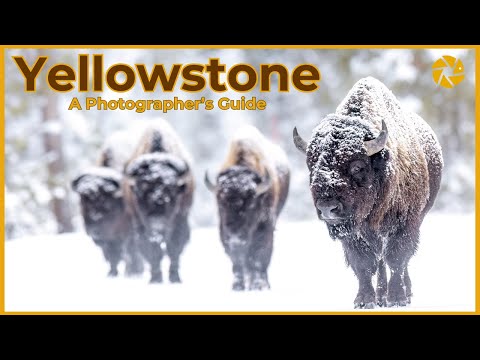Guts Und Janines Yellowstone Fototour Guts Und Janines Yellowstone Fototour