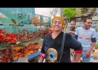  سوق الجمعه بالسيدة عائشة اسعار اسماك الزينه تشكيله جديده واسعار زمان مع ام حنان كينج فيش