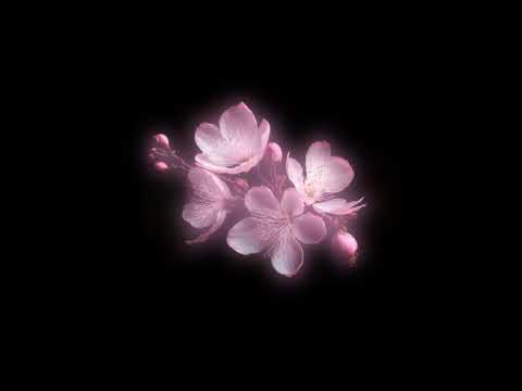 Random Sped Up Slowed Edit Audios For U To Dance In Ur Room Pt48 Timestamps