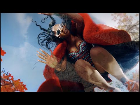 Jowy Landa Mudumu Official Video