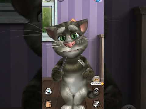 القط توم المتكلم بن وتوم توم Cat