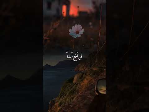 أخي هو سندي بعد الله شعر عن الاخ حالات عن الاخ