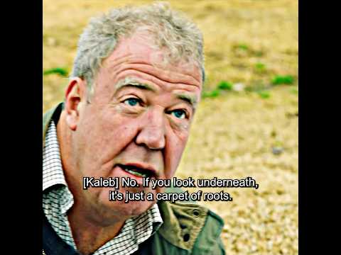 The Seeds Sprouted In The Bag Shorts Edit Viral