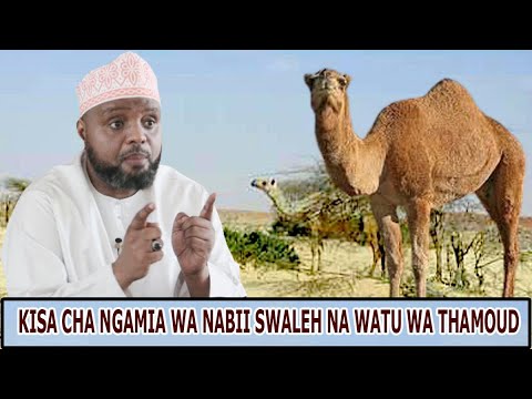 KISA CHA NGAMIA WA NABII SWALEH NA WATU WA THAMOUD SHEIKH OTHMAN MAALIM KISA CHA NGAMIA WA NABII SWALEH NA WATU WA THAMOUD SHEIKH OTHMAN MAALIM