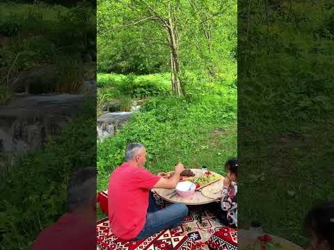 الريف التركي طرابزون الطبيعة في الشمال التركي