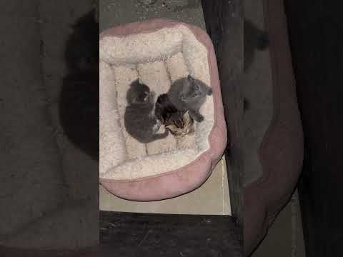 Be Careful You Not Know When You Re Entertaining Angels The World Is Grinding And National Teeth