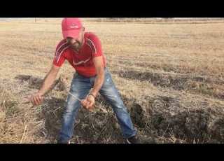 وزان الماء Cherche De L Eau