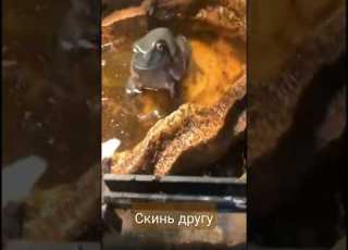  прикол злая жаба скинь другу Shorts