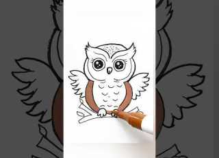 Cute Owl Drawing Shorts Trending Drawing Art Owl Easy Simple Doodle Draw Shorts Shortfeed