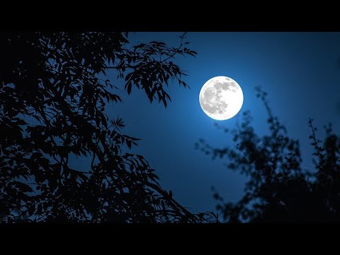 ربنا لا تزغ قلوبنا بعد اذ هديتنا من سورة ال عمران القارئ عبدالرحمن مسعد