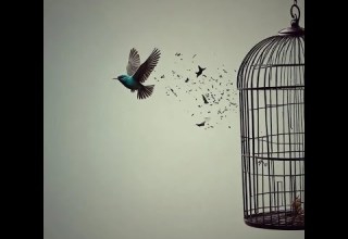 باید خرد شوی تادلت باز شود میان برترین راه رسیدن به شهود