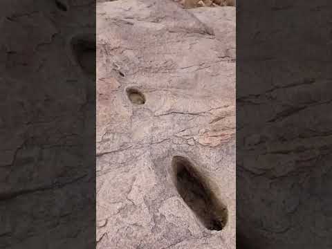 رجل ابو زيد الهلالي