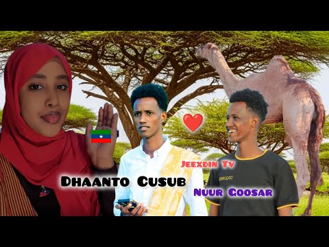 NUUR GOOSAR DHAANTO CUSUB SHUGRI CADBI AHMED IRDAA NEW VIDEO 2026