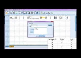 Enter Data And Define Variables In SPSS