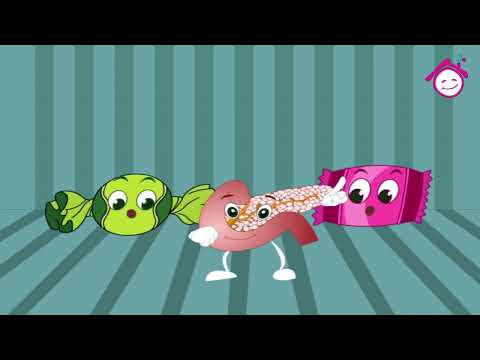 Al Benkeryas Song أغنية البنكرياس قناة دار القمر قناة الطفل العربي Al Benkeryas Song أغنية البنكرياس قناة دار القمر قناة الطفل العربي