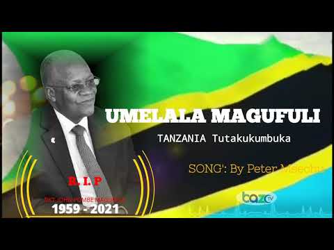 OfficialAudio Magufuli Umelala By PeterMsechu