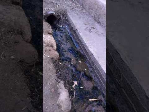 شارع حسن حلاله بحوض الشوكة والقبايل سنباط زفتى غربية