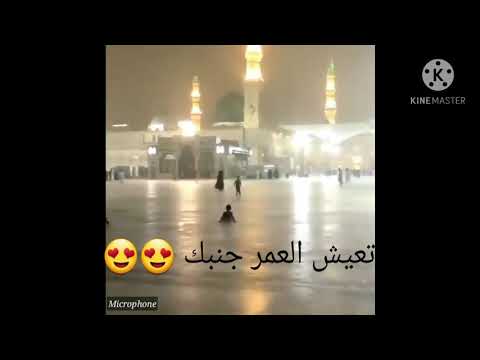 شوفت ياما ماهر زين حالة واتس اب دينية شوفت ياما ماهر زين حالة واتس اب دينية