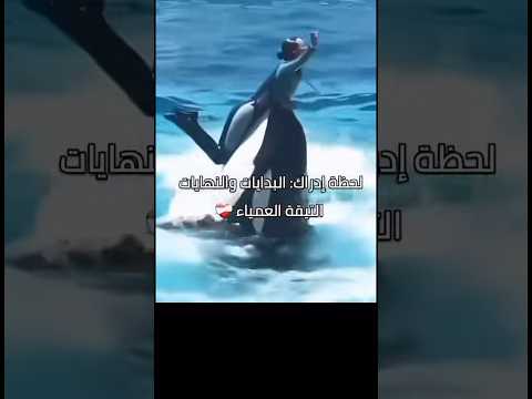 كيف اكلت اوركا جيسيكا قصة جيسيكا والحوت اكسبلور