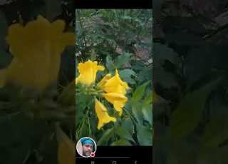  Seid Ahmed Is Live
